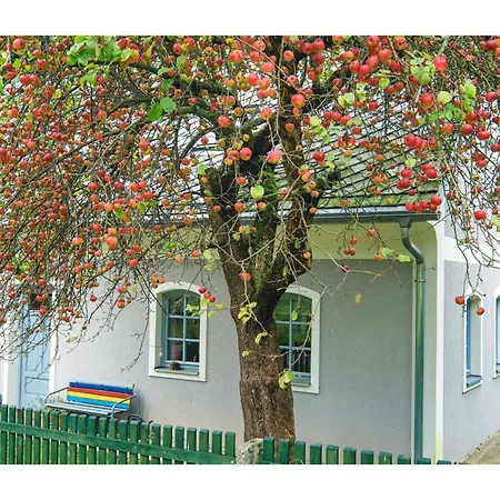 Oldrichov 125 *
