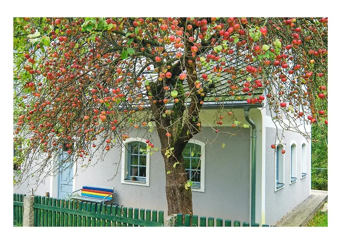 Oldrichov 125 *
